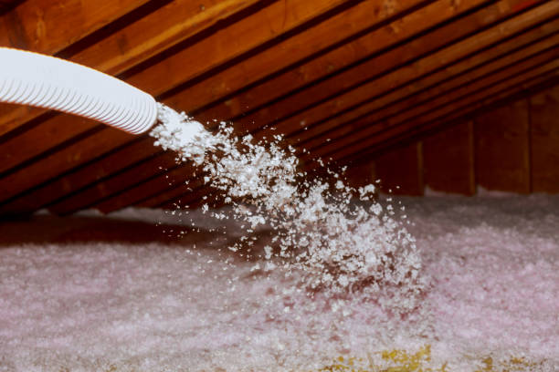Best DIY Insulation Kits and Guidance in Williamstown, PA