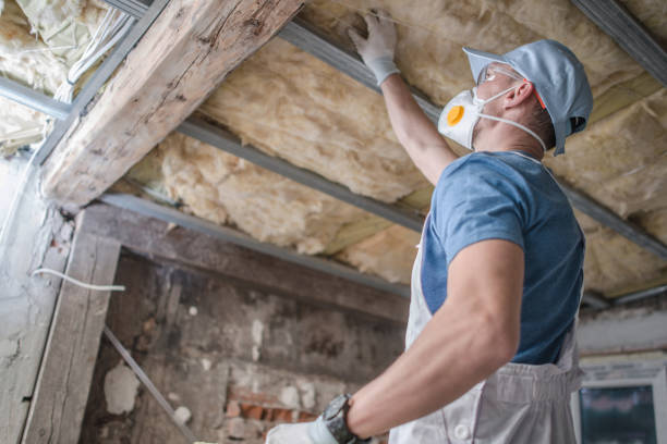 Best Specialized Insulation Services in Williamstown, PA